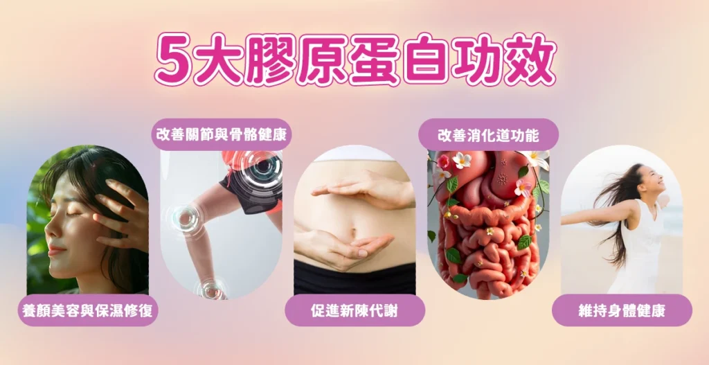5大膠原蛋白功效